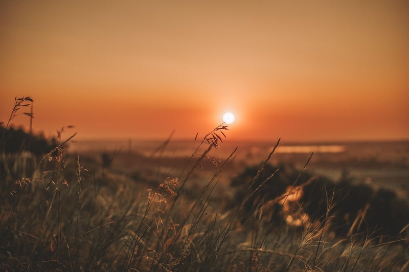 Nature Sunset